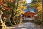 秋の神社の朱色の社殿と参道に並ぶ石灯籠