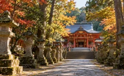 秋の神社の朱色の社殿と参道に並ぶ石灯籠