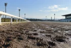 晴れた午後の地方競馬場、蹄の跡が残るダートコースの直線