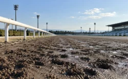 晴れた午後の地方競馬場、蹄の跡が残るダートコースの直線