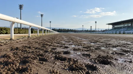 晴れた午後の地方競馬場、蹄の跡が残るダートコースの直線