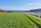 晴れた秋の日の競馬場の芝コースと白い外ラチ