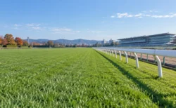 晴れた秋の日の競馬場の芝コースと白い外ラチ
